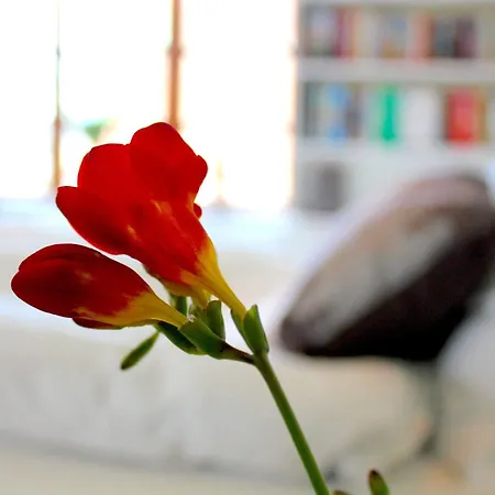 Bb By The Sea Helsingor Guest house 2*